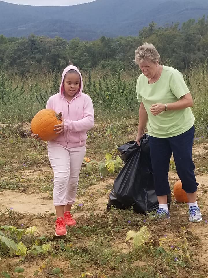 pumpkin 2019